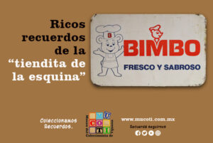 osito bimbo, museo del coleccionista de tijuana